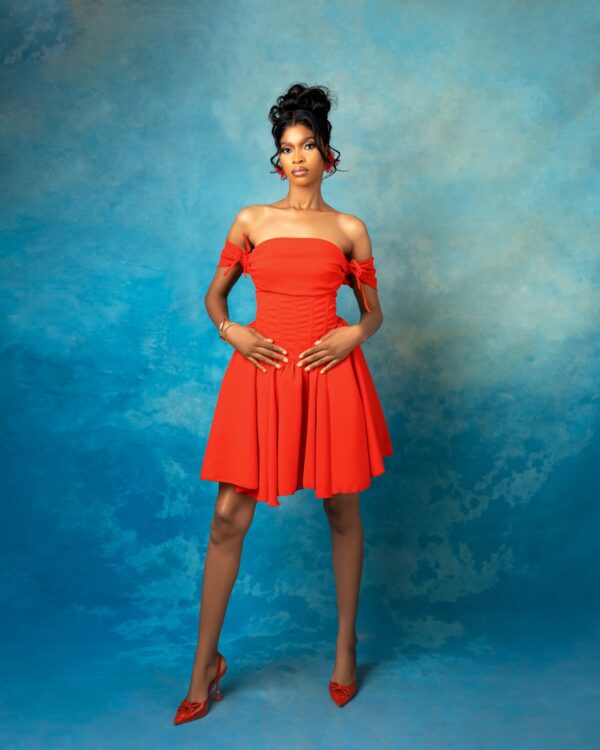 DAHLIA DRESS – Wtaylor Official